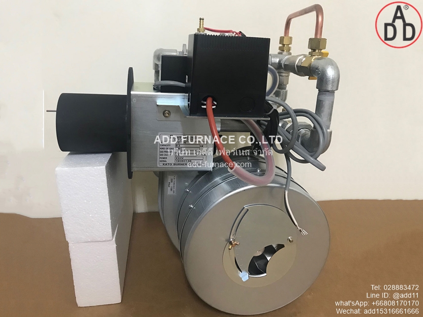 Pilot Burner TS-8N (3)